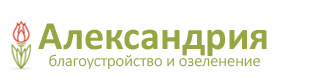 Александрия - Благоустройство и озеленение